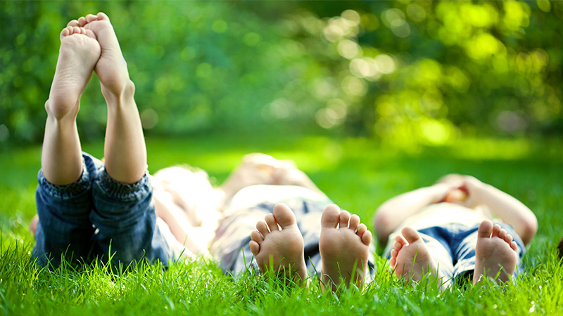 LayerSlider_Grass+Feet800